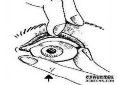 義眼可以轉(zhuǎn)動(dòng)嗎？