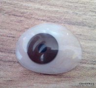 <b>哪些材質可以制作義眼片？</b>