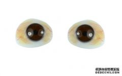 <b>眼球摘除了什么時(shí)候裝義眼</b>