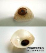 <b>義眼片帶多久要換一次？</b>