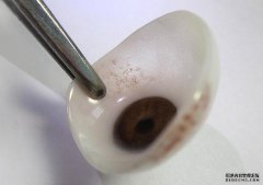 <b>超薄款與常規(guī)款義眼的不同之處在于哪里？</b>